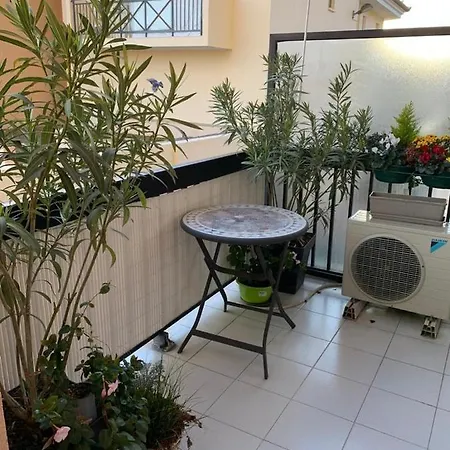 Studio Les Allees Apartment
